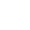 schneider-1.png